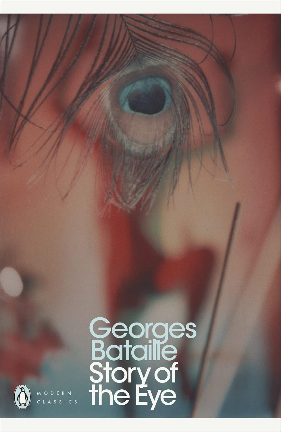 Story of the Eye / Histoire de l’oeil